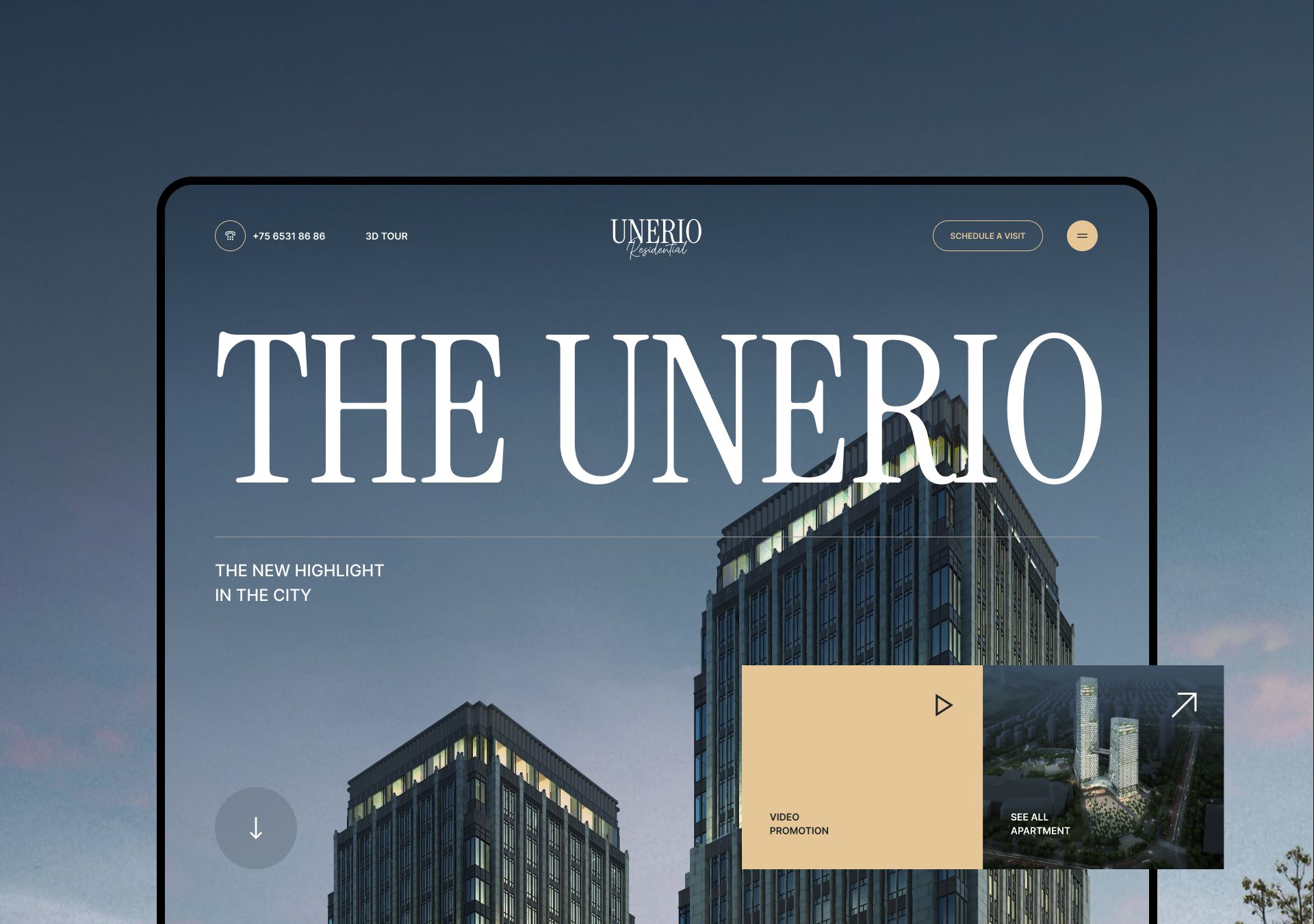Portfolio project screenshot