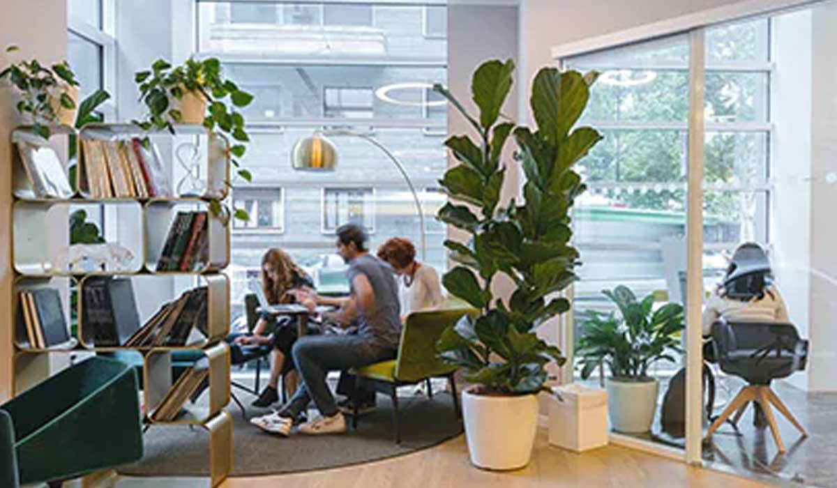 Donate your design for newest designer to try better